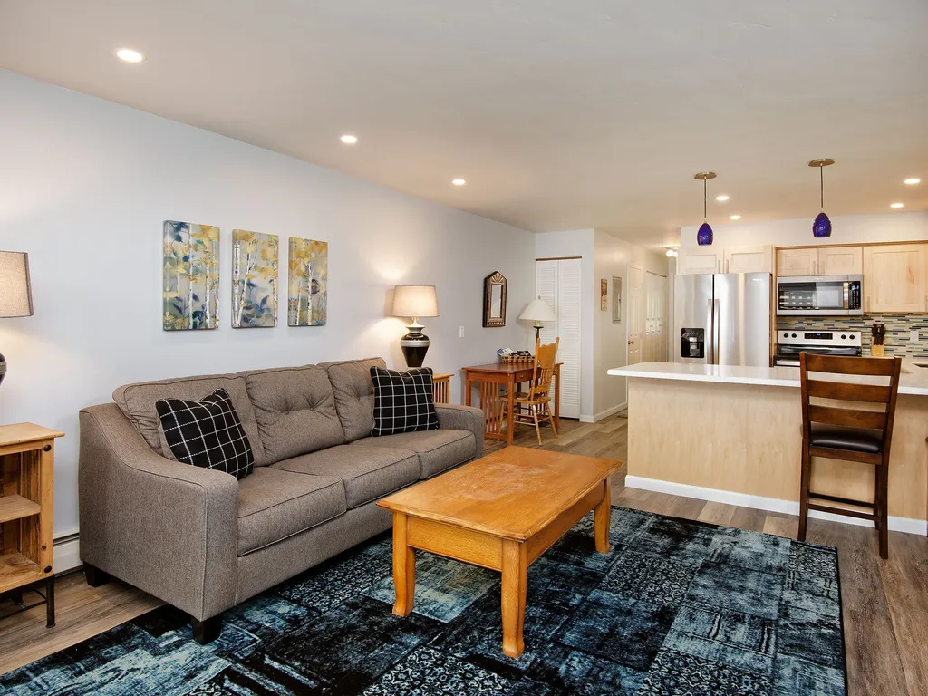 Modern Aspen Condo Private Deck w/ Koch Park Views- 2E