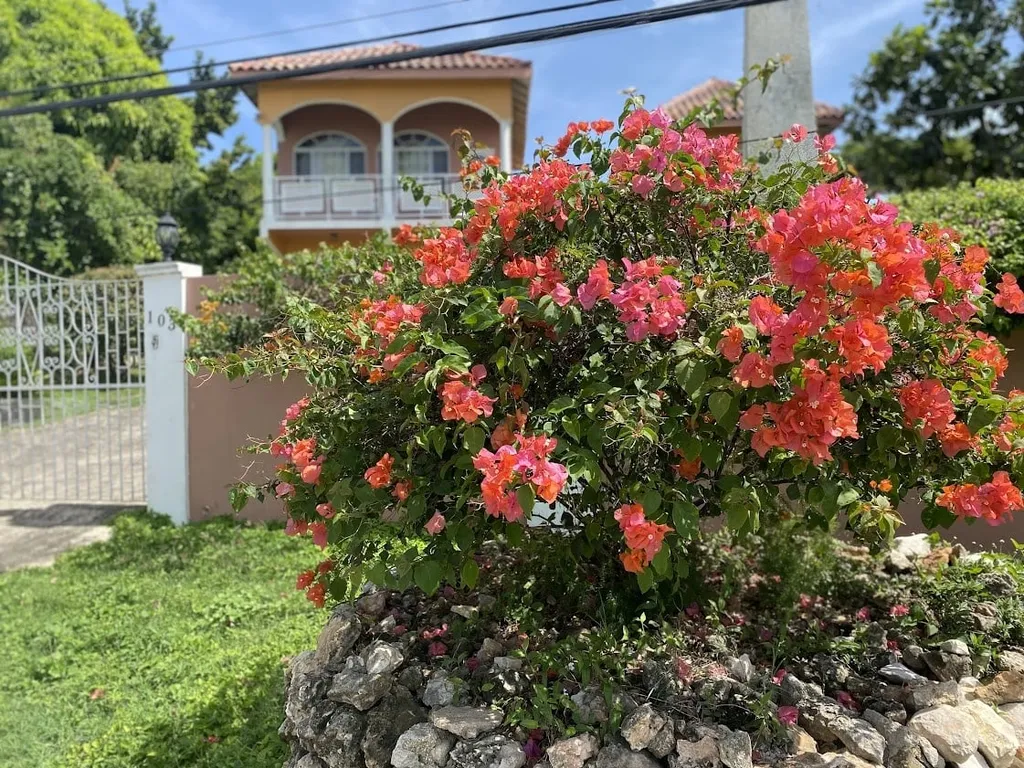 YanceyLargo- 4BR Villa Jacuzzi &amp; Mountain Views