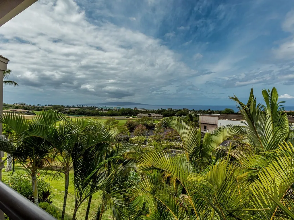 Wailea Ekolu 208