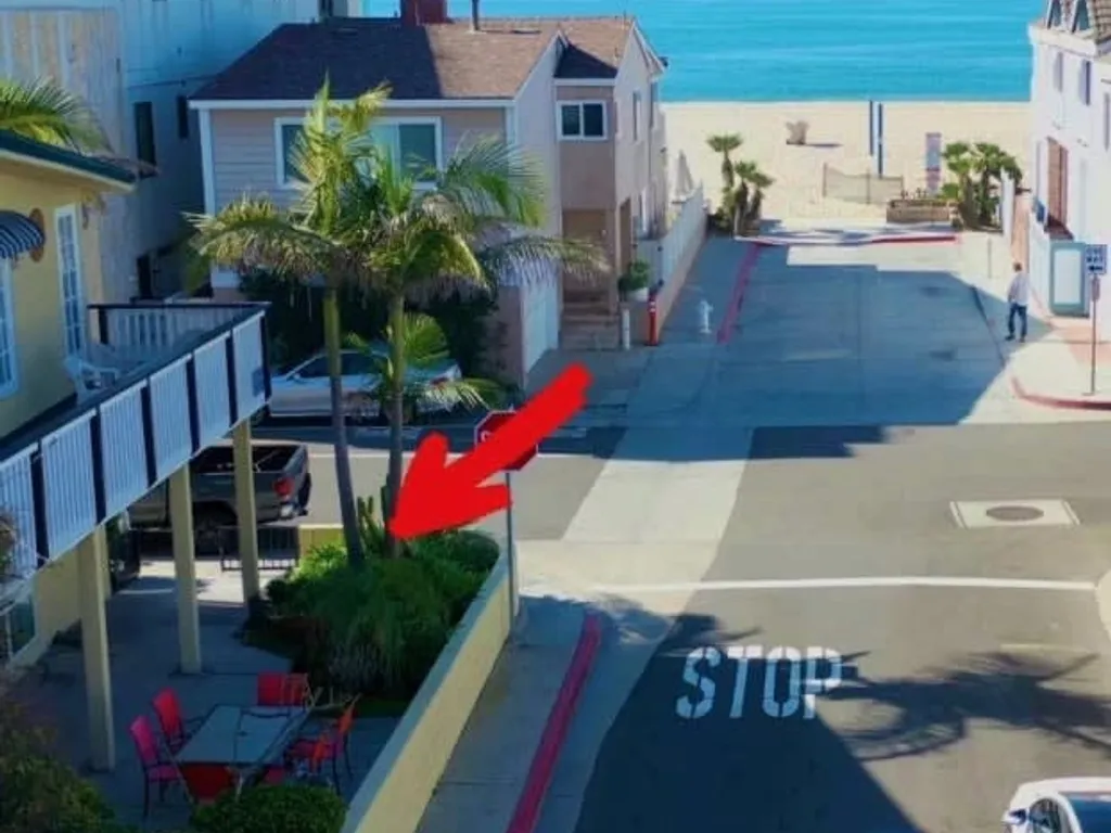 4212 Seashore | Spacious Patio w/ Refreshing Ocean Breezes