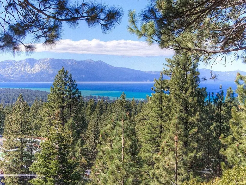 HCH1221- Tahoe Bonoff Venture