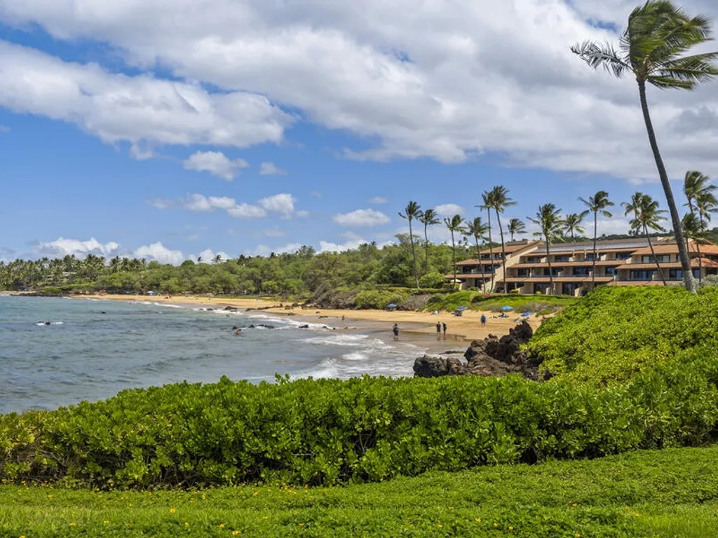MAKENA SURF, #F-111